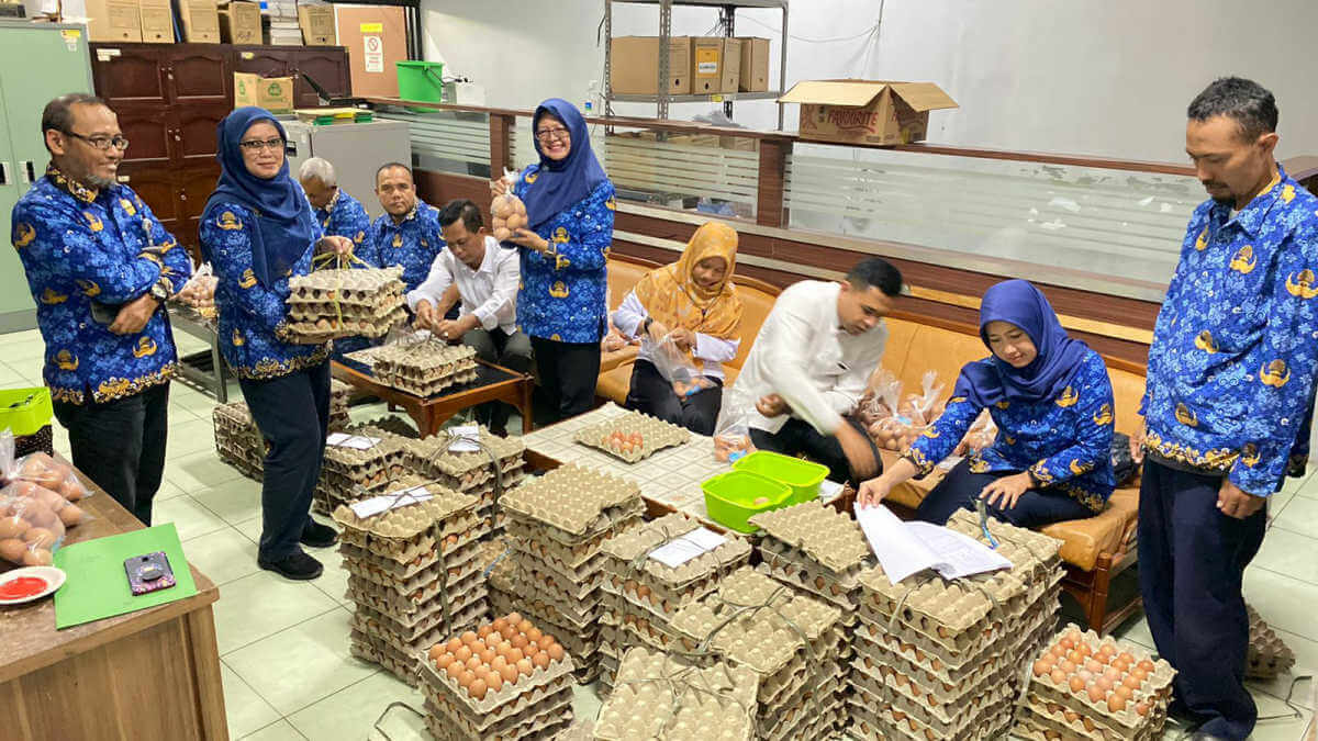 Program bagi-bagi telur