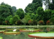 Berkunjung ke Markas UNESCO, Wali Kota Bogor Dorong KRB Jadi Situs Warisan Dunia Umat