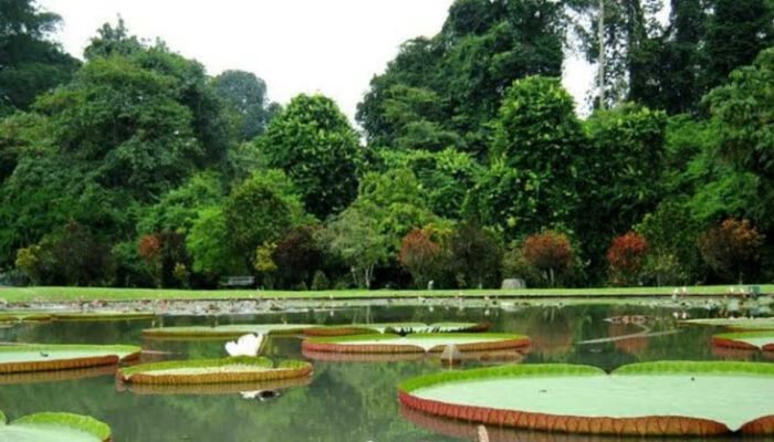 Berkunjung ke Markas UNESCO, Wali Kota Bogor Dorong KRB Jadi Situs Warisan Dunia