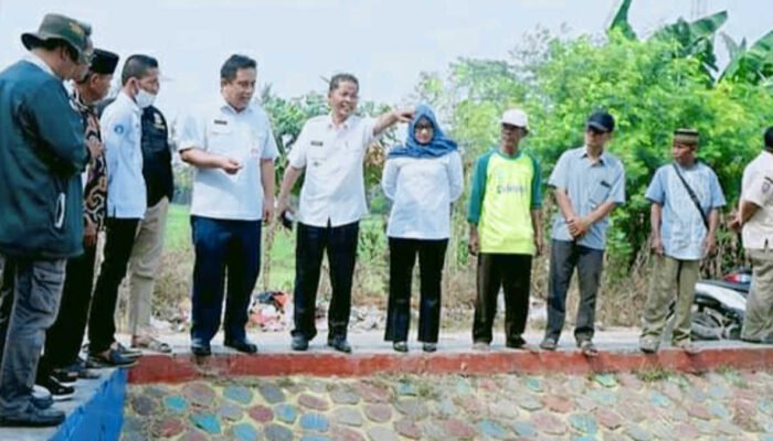 Kekeringan Sawah di Bekasi
