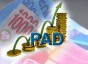 Hingga Mei PAD Kota Bogor Baru Tercapai 34,99 persen pad.