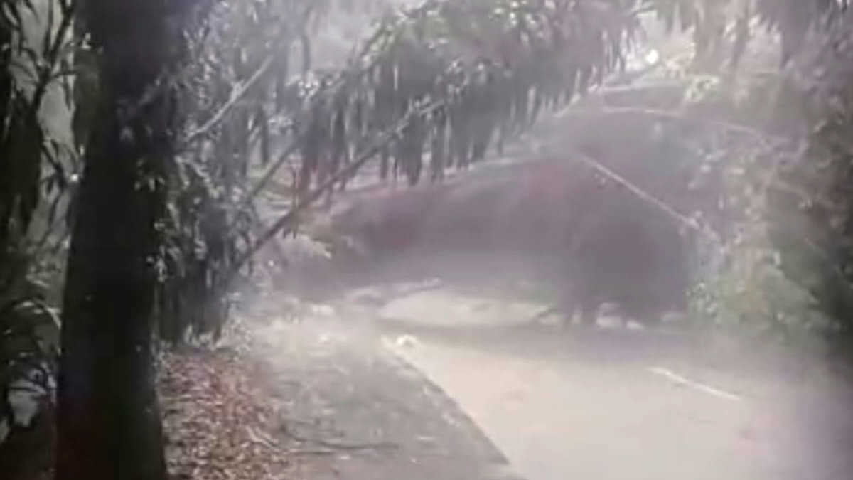 Pohon Tumbang, Longsor dan Banjir Melanda Kota Bogor