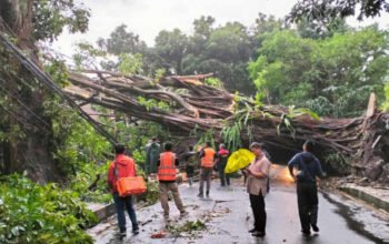 BPBD: 28 Titik Bencana Alam di Kota Bogor Selama Sehari.