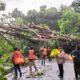 BPBD: 28 Titik Bencana Alam di Kota Bogor Selama Sehari.