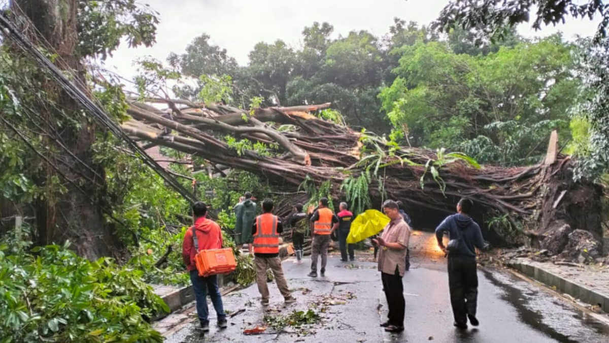 BPBD: 28 Titik Bencana Alam di Kota Bogor Selama Sehari.