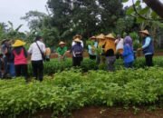 Warga Kampung Harkat Cimahpar Sulap Lahan Kosong Jadi Wisata Edukasi