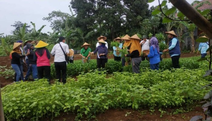 Warga Kampung Harkat Cimahpar Sulap Lahan Kosong Jadi Wisata Edukasi