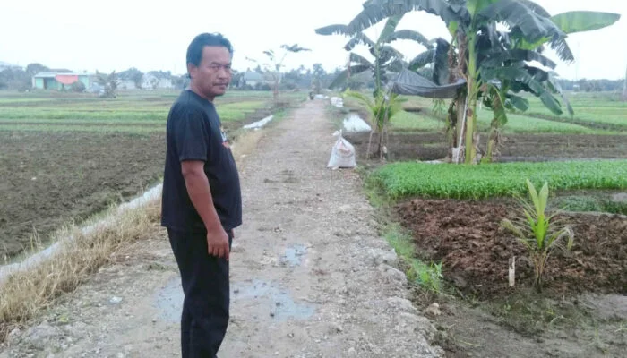 Dibuatkan Akses Jalan, Gapoktan Desa Sukarukun Sumringah