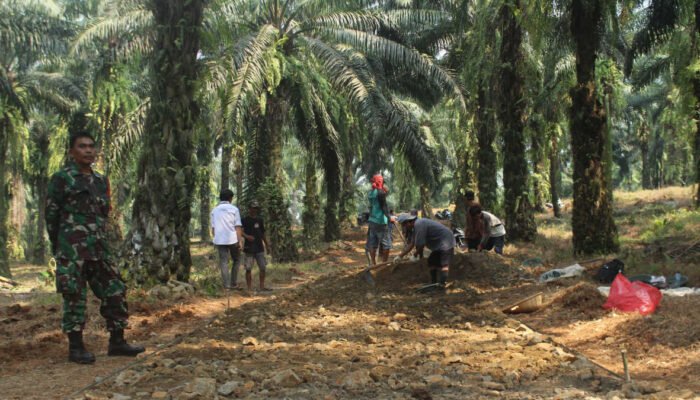 desa cimulang