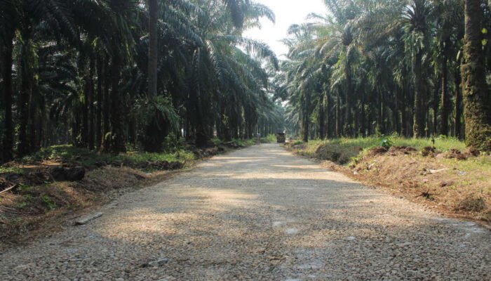 Desa Candali Bakal Sulap Jalan Bebatuan Jadi Beton Gunakan Samisade 2023