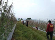 Bukit Angin Mamiri Jadi Lokasi Reunian Sekolah Bukit Angin Mamiri Jadi Lokasi Reunian Sekolah