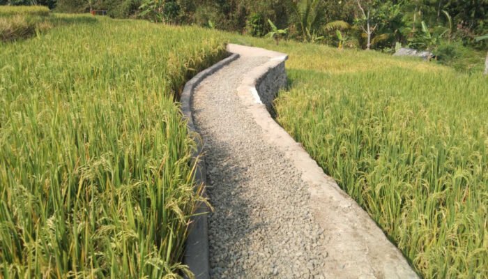 Pemdes Pangkal Jaya Gelontorkan Rp 600 Juta Untuk Jalan dan Drainase