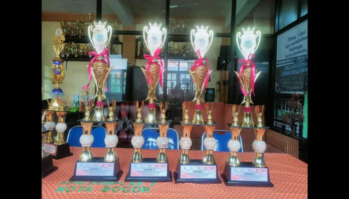 Keren, Ekstrakurikuler Seni Tari SDN Semplak 2 Raih 4 Piala