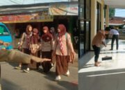 Keren, SMK Golden Aktifkan Kembali 2 Program Bakti Sosial