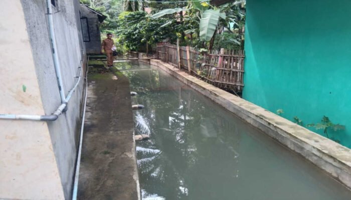 Keren, Pemdes Mekarjaya Sulap Selokan Jadi Kolam Ikan