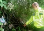 Pegawai Bengkel Motor Temukan Bayi Perempuan di Tempat Pembuangan Sampah