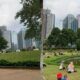 Menikmati Keindahan Alam di Taman Hutan Kota GBK