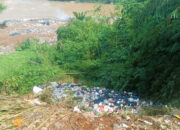 Lalat Hijau Serang Warga Akibat Adanya TPS Ilegal di Mekarsari