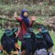Peringati Hari Ayah Sedunia, Anak Kampung Pasir Angin Gelar Pentas Teatrikal