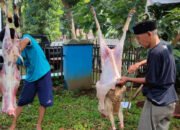 PWI Kota Bogor Sembelih 2 Ekor Kambing