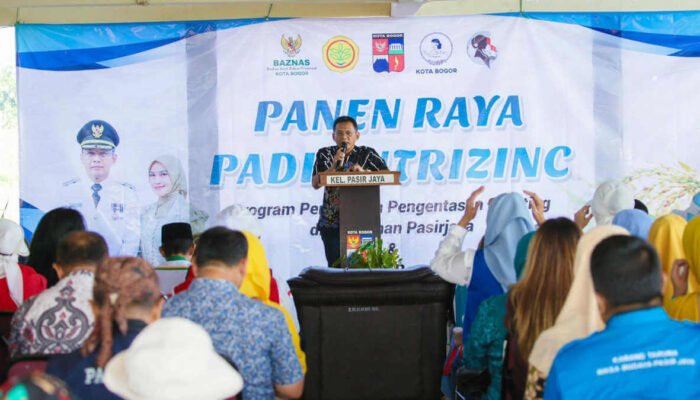 Tekan Stunting, Pemkot Bogor Kembangkan Padi Nutrizinc