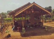 Bayar SPP di Sekolah Ini Bisa dengan Hasil Bumi dan Ternak
