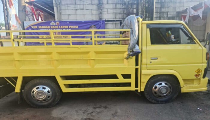 Polsek Jasinga dan Polsek Cigudeg Gagalkan Aksi Pencurian Kerbau polsek jasinga