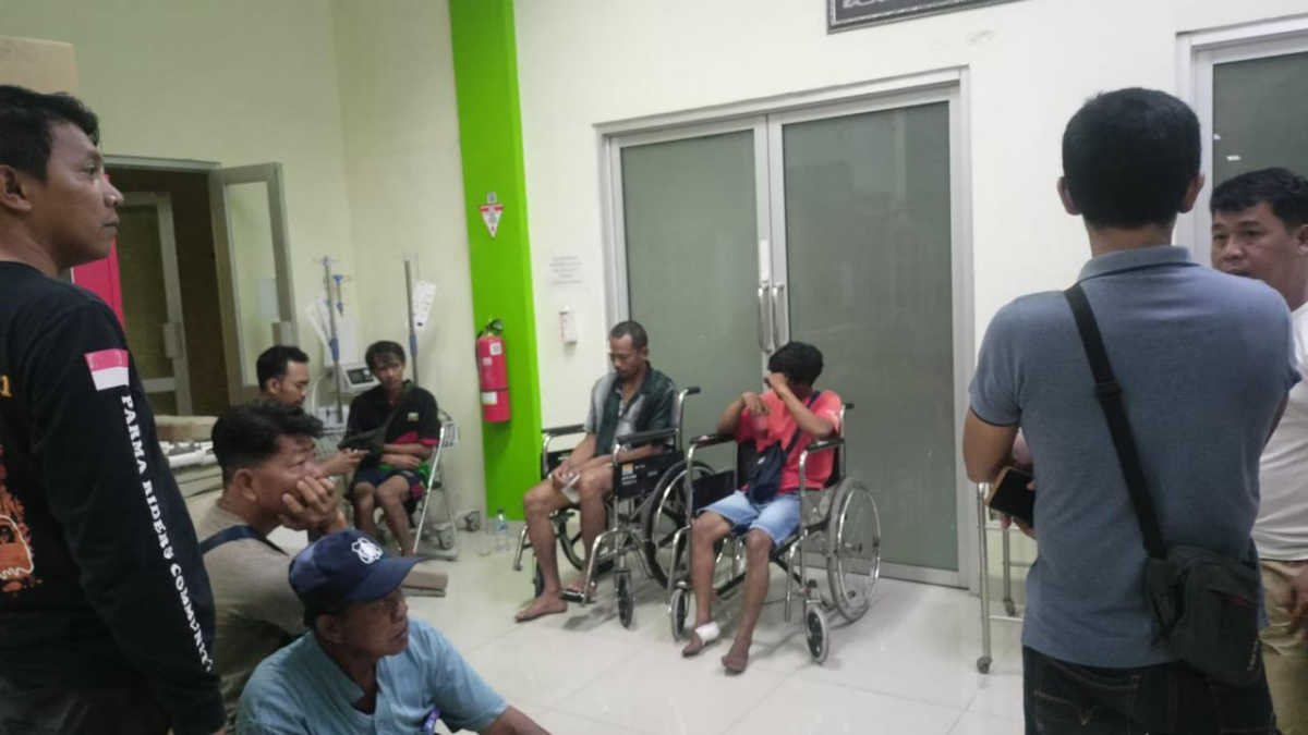 gudang ikan hias.
