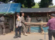 Petugas Gabungan Kecamatan Dramaga Bongkar Belasan Lapak PKL di Ciherang