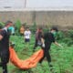 Penemuan mayat tanpa identitas Kampung Jalan Cagak Lebak RT 03 RW 04, Desa Rancabungur, Kecamatan Rancabungur, Kabupaten Bogor pada Selasa (8/10).