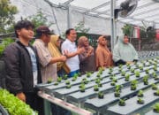 Calon Wali Kota Bogor Dokter Rayendra Kunjungi Kebun KWT hingga Libanon