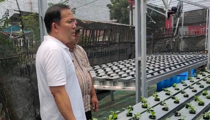 Calon Wali Kota Bogor Dokter Rayendra Kunjungi Kebun KWT hingga Libanon