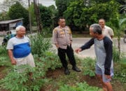 Terkuak! Identitas Mayat Perempuan di Kebun Singkong Rancabungur