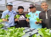Kebun KWT Griya Amanah Farm Jadi Perhatian Para Cawalkot Bogor