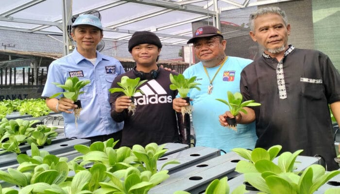 Kebun KWT Griya Amanah Farm Jadi Perhatian Para Cawalkot Bogor