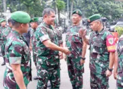 zeni tni