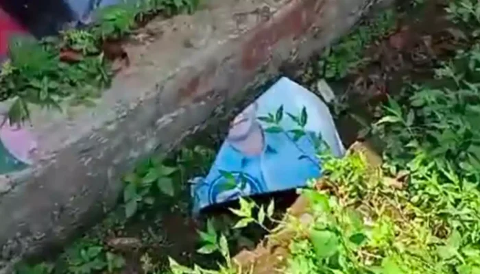 Ketua LSM Kobra Kecam Pengrusakan APK Paslon Nomor 3 Dedie-Jenal