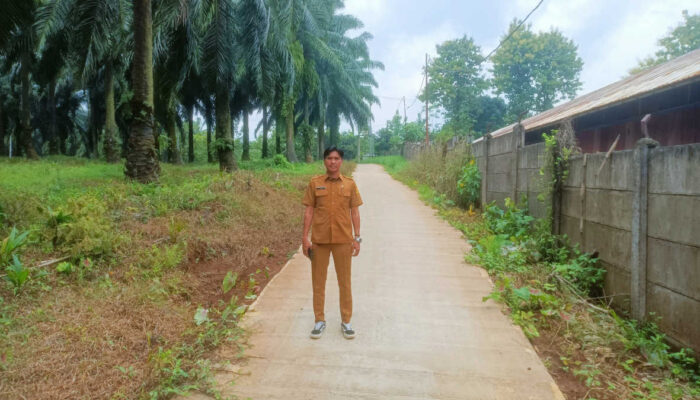 desa candali
