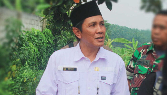 desa candali