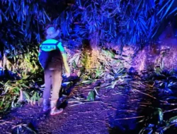 Bogor Diguyur Hujan, Longsor Tutup Akses Jalan Curug Bitung-Malasari Kecamatan Nanggung