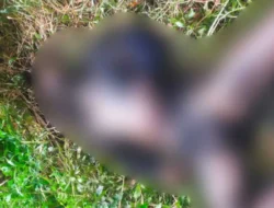 Geger, Warga Desa Kalong Liud Temukan Mayat Laki-laki Penuh Luka Bakar