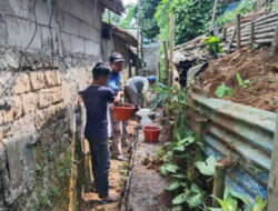 tp pkk desa mekarjaya