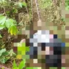Penemuan Mayat di Kebun Singkong Gegerkan Warga Desa Petir Dramaga
