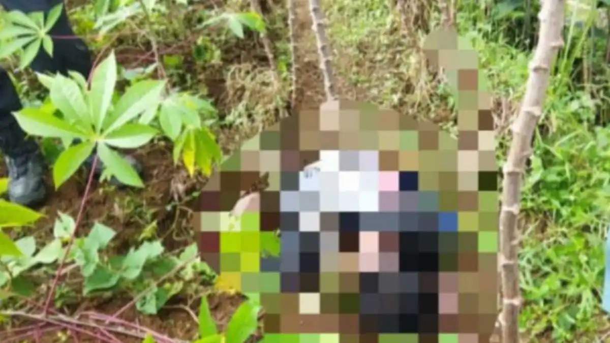 Penemuan Mayat di Kebun Singkong Gegerkan Warga Desa Petir Dramaga