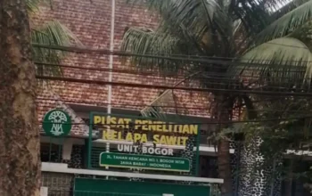 Gedung Pusat Penelitian Kelapa Sawit Unit Bogor BCB Tercantik di Indonesia