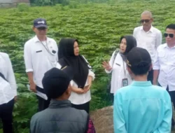 Pemdes Sukawening Manfaatkan Bankeu Untuk Bangun Jalan