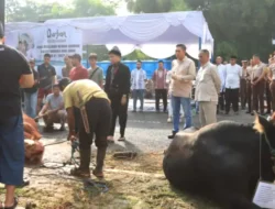 Polres Bogor Sembelih 37 Ekor Sapi dan 68 Ekor Kambing