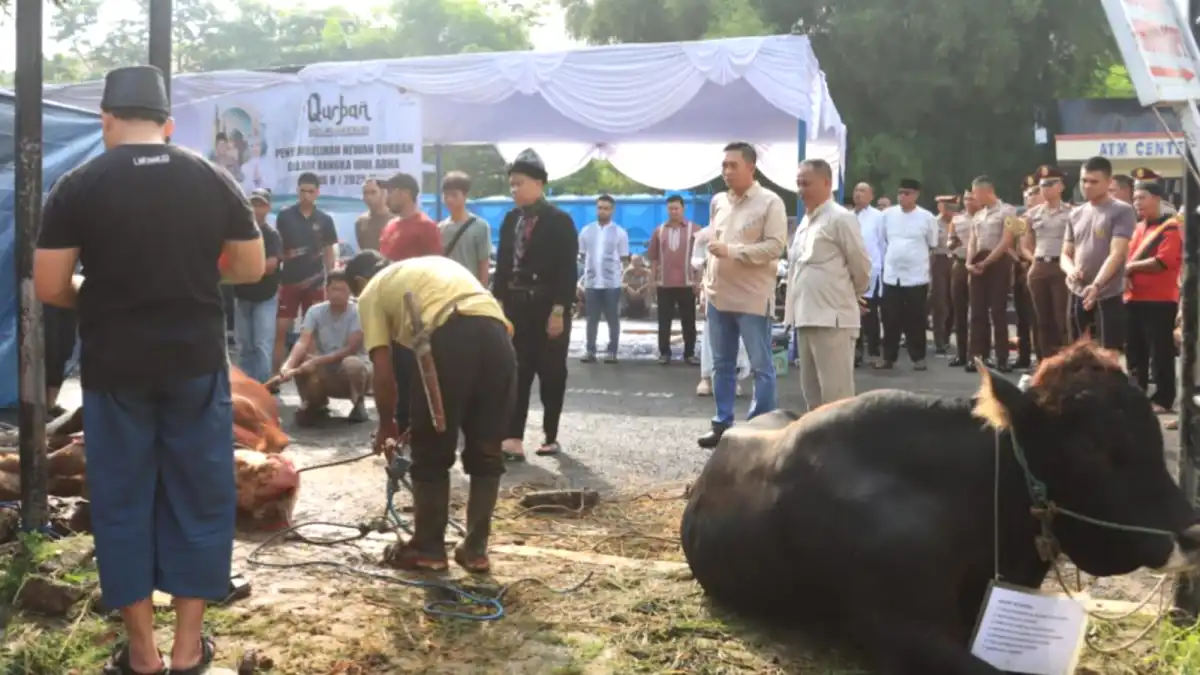 Polres Bogor Sembelih 37 Ekor Sapi dan 68 Ekor Kambing