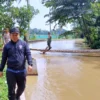 2 Tanggul Kali Cibeuteng Ciseeng Jebol, Ratusan Ikan Terbawa Air Sungai