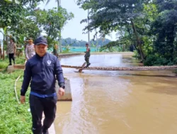 2 Tanggul Kali Cibeuteng Ciseeng Jebol, Ratusan Ikan Terbawa Air Sungai
